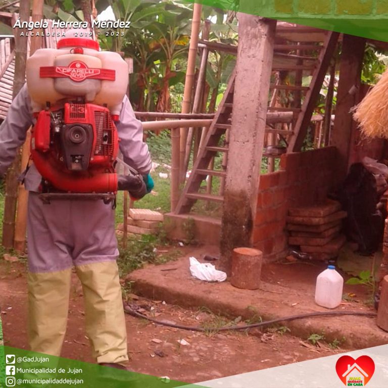 Desinfección del recinto Chongonal